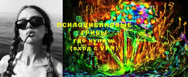 соль ск Балахна