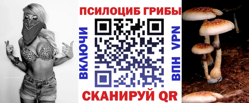 даркнет как зайти  Белозерск  Галлюциногенные грибы MAGIC MUSHROOMS  кракен маркетплейс 